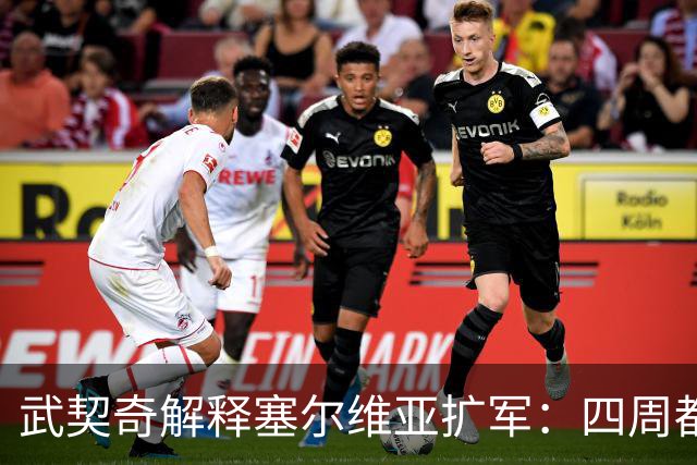 武契奇解释塞尔维亚扩军：四周都是北约，不买武器怎么自保